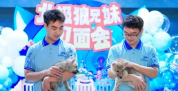 河南首例！鄭州海昌海洋公園新生龍鳳胎北極狼迎滿月