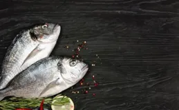 「魚肉」肉食界的營養扛把子