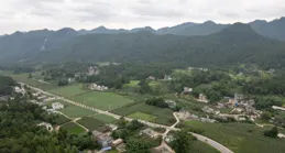 鹹豐縣新型農業經營主體發展駛入快車道