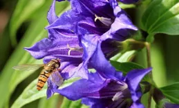 以和為貴，站得高，望得遠的四個星座