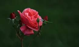 男人能接受你這三件事，才是真愛，別錯過！