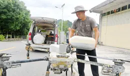 空中施肥 確保秋糧豐收