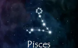 雙魚座：與這兩星座配，如同龍鳳呈祥，合作無間，共創輝煌！