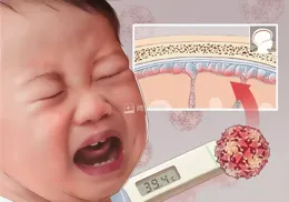孩子高燒40℃，會不會燒壞腦子？