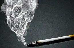 香煙要被洗白？中科院的顛覆性研究，尼古丁能降低40%死亡率？