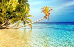 7月突破自我，8月諸事順意的星座，擁抱變化，迎接新篇章