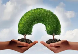 從心出發，擁抱健康 —— 揭秘心靈滋養的獨家秘訣