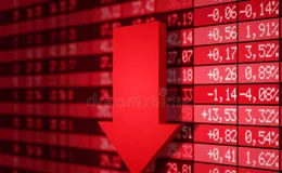 曬曬半年股票收益