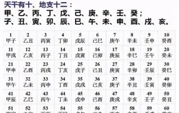 老人說：2025年是「七龍治水，四人得辛，二屠共豬」，啥意思？