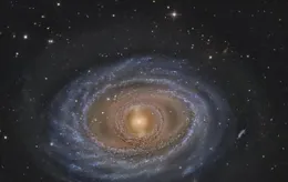 表面乖巧的星座：看似簡單好拿捏，實際上油鹽不進