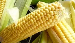 提醒：早上或是養胃黃金期，建議選擇3種早餐，也許對胃好