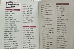 西遊記英語動畫片journey to the west難度是怎樣的？大概有多少詞匯？