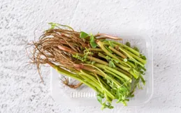 2種食物通腸道，夏季吃正合適，尤其是濕熱重、腸道不通的人