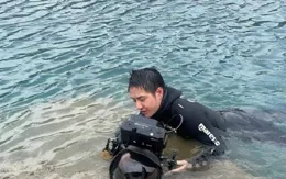 王一博化身美男魚：海底世界的治愈之旅