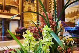 以蘭禮佛：修行路上的寧靜與祈福