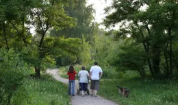 研究發現：喜歡跑步的人，患高血脂的機率比散步的人高10倍不止？