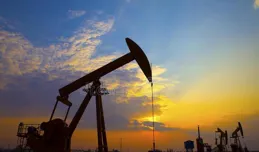 擁抱核心資產才能穿越周期，才是你賺錢的法寶！