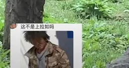 笑瘋！貴州繼明星猴後，又一獅子上熱搜，網友：這不是上拉如嗎？