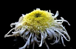 警方已介入！思南小學四年級學生住校期間死亡，其父稱脖子有勒痕