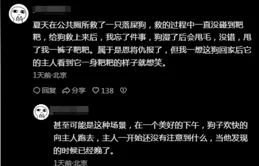 笑不活了！網友分享自己遇見銘記終生的事件，一個比一個離譜