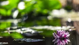 秋日養生七事當忌，過秋養生就是養命