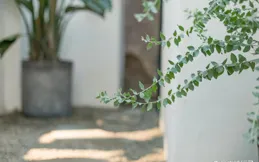 如果你不想上班，也不想社交了，需要保留三條退路