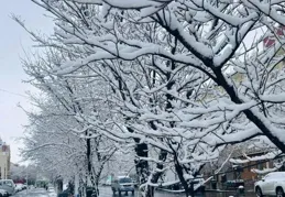 重慶氣象局又整活了！40度的天下雪了！網友評論成事不足敗事有渝