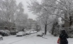 亂說天氣也是違法，女子稱西安下雪被拘。