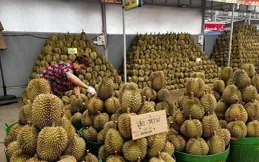 榴槤堆積如山後，馬科斯坐不住了，公開發文要與中國合作