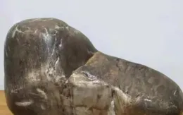 這塊像鞋的石頭開價1500萬，這些石頭鞋子不服