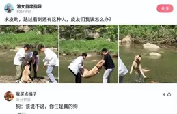 爆笑神評！你們兩口子是真不拿網友當外人啊！