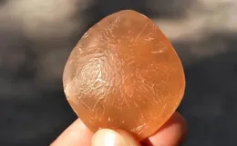 你家餐桌上扔掉的垃圾，竟能變成好文玩