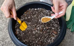 智慧秋收｜辨識復合肥，光速辨真假