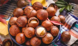 牛只憑吃草就可長肌肉，人吃全素卻危害身體健康，差別在哪？