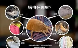 雙十一除蟎儀選購必看｜除蟎儀怎麽選？友望、萊克吉米、美的、摩飛、松下5款除蟎儀實測對比