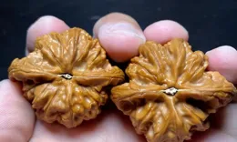 撿漏「醜萌」文玩核桃，蛤蟆頭手串寓意吉祥，從而身價暴漲！