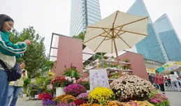 花園陽台走進世界級商圈，繽紛花卉裝點假日步行街