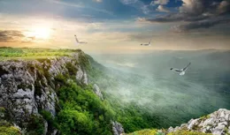 射手座9月運勢人紅是非多，運勢兩極分化，及時止損，收獲欣喜