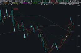 東睦股份大跌6.19%！廣發基金旗下1只基金持有