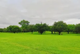 屬於東莞人的後花園！東莞必打卡景點！