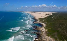 農業是人類的專利？這種小帽貝說不