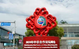 「合抱之手」匯聚現代化動力——國際社會高度評價中非合作論壇北京峰會豐碩成果
