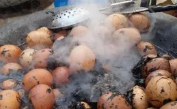 台灣進口蛋弊案進展：超思、亮采業者、台「畜產會」專員重金交保