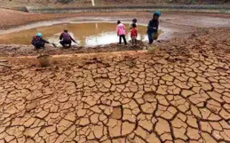 人窮了有多卑微！奈米比亞：土地幹旱吃不上飯，獵殺大象河馬充饑