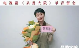 如何評價胡歌、吳越主演的電視劇【縣委大院】？