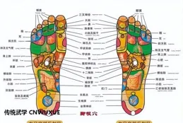 練太極拳過程中對湧泉穴的感悟
