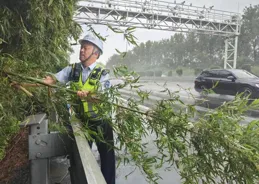 風雨中的「高速藍」：堅守第一線守護公眾平安出行