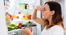 選冰箱除了「超薄嵌入」之外，為什麽還要考慮「雙系統」？