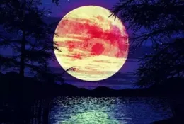 台灣檢調像月亮，初一十五不一樣？謝龍介批「北檢」辦案雙標