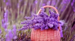 19個激勵自己的勵誌正能量句子，陽光霸氣，積極向上，發圈秒贊！